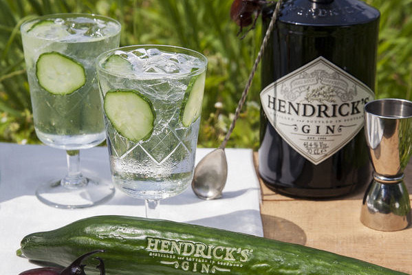 Cucumber Gin