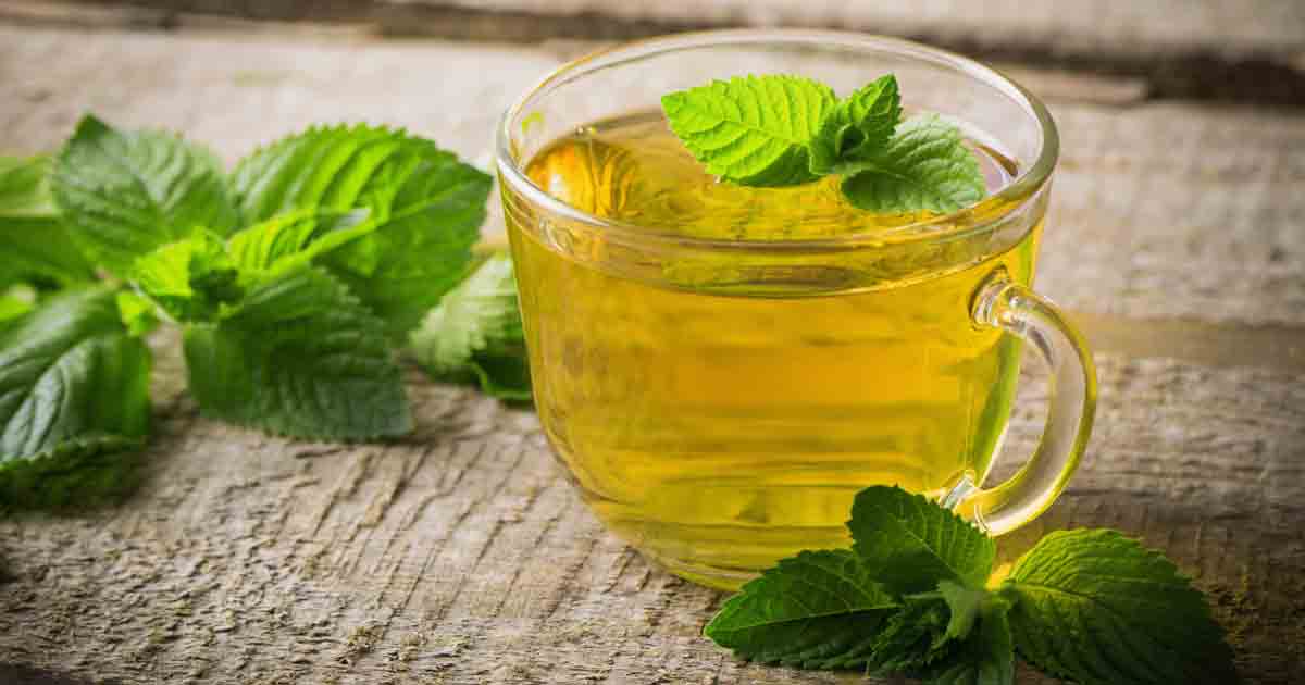 Honey Spearmint Tea